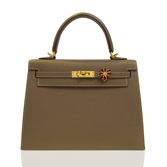 Brown handbag with gold clasp and red flower detail on a white background, collection-preview