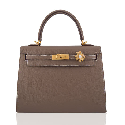 Brown handbag with gold hardware on a white background, collection-preview