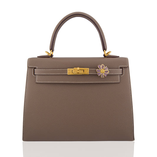 Brown handbag with gold hardware and a decorative clasp on a white background, collection-preview