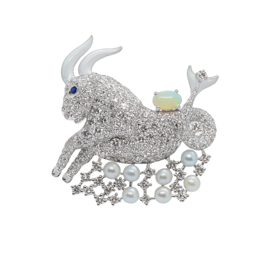 Capricorn Customized Bag Bijoux