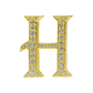 Alphabet 'H' Bag Bijoux with Natural Diamonds