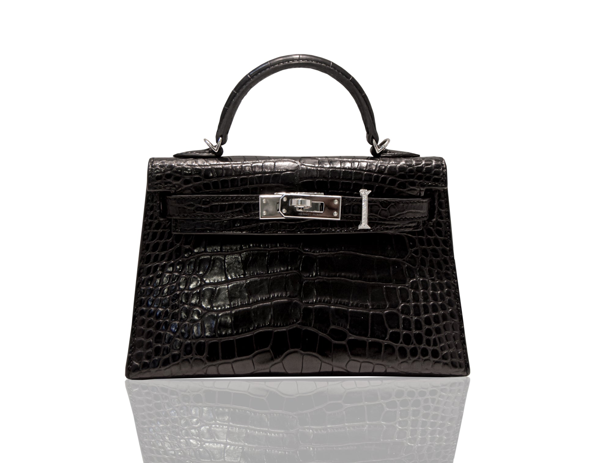 A luxurious handbag with a black exterior and metallic hardware, featuring a crocodile pattern, collection-preview.