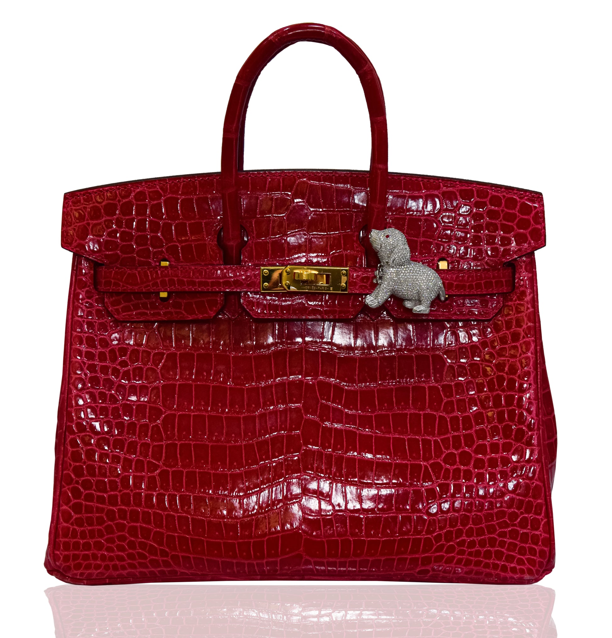 Red crocodile skin handbag with gold clasp on white background, collection-preview