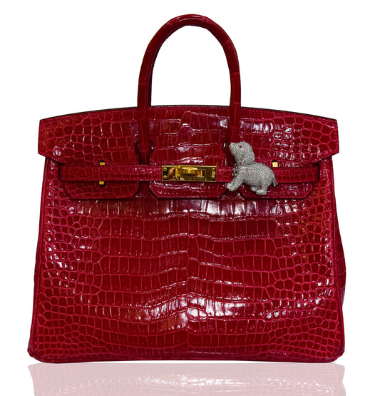 Red crocodile skin handbag with gold clasp on white background, collection-preview