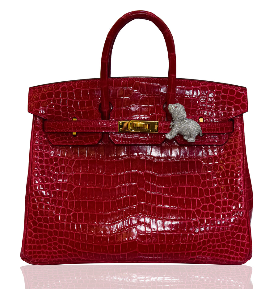 Red crocodile skin handbag with gold clasp on white background, collection-preview